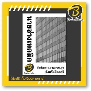 หนังสือเตรียมสอบนายช่างเทคนิค (สำนักงานสาธารณสุขจังหวัดปัตตานี)